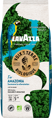 Voix de la Terre For Amazonia